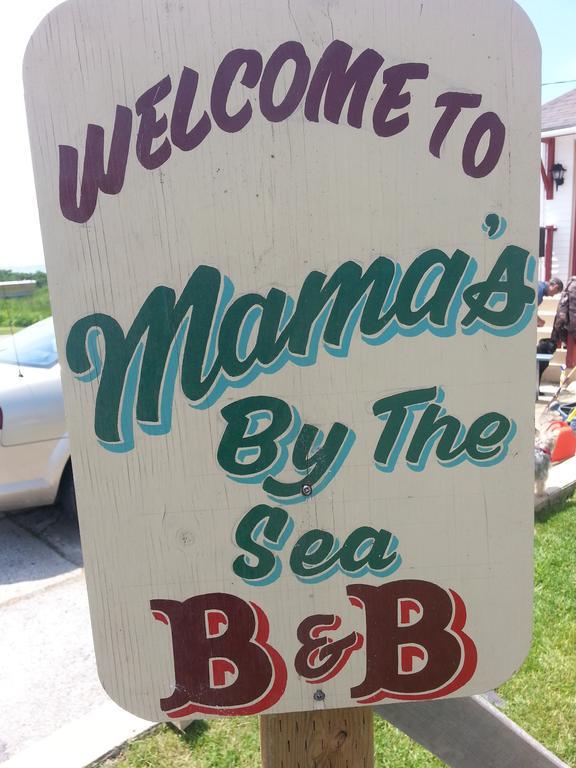 Mama'S By The Sea B&B Clark's Harbour ภายนอก รูปภาพ